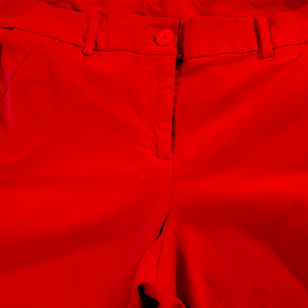Lane Bryant size 18 red pants